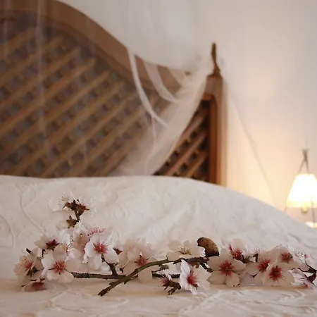 Quinta Matias Country house Boliqueime